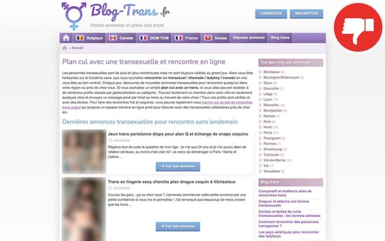 Qu’est-ce que j’en pense Blog-Trans.fr